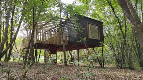 Property building, Natural landscape
