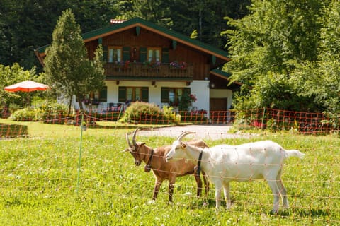 Ferienwohnung Hinterreiter inkl. Chiemgaukarte Apartment in Ruhpolding