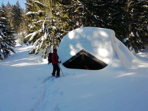 Ferienwohnung Hinterreiter inkl. Chiemgaukarte Apartment in Ruhpolding