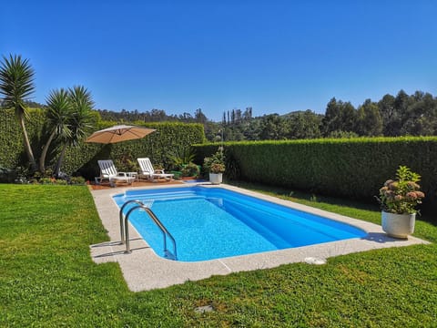 Summer, Garden, Pool view, Swimming pool, Swimming pool, Swimming pool, sunbed