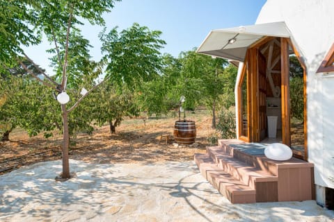 Property building, Patio, Garden view