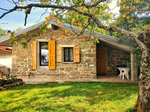 Property building, Facade/entrance, Garden