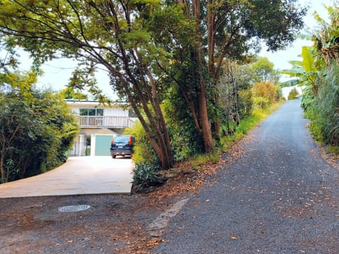 Day, Neighbourhood, Natural landscape, Street view