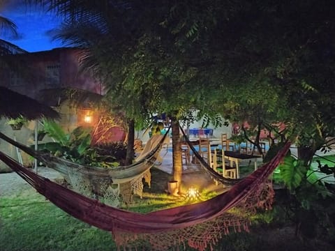 Night, Garden view