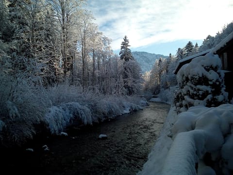 Ferienwohnung Kaidisch - Reiter inkl. Chiemgaukarte Apartment in Ruhpolding