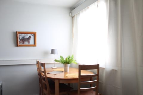 Scandinavian Dream Guesthouse and Apartments Apartment in Rovaniemi