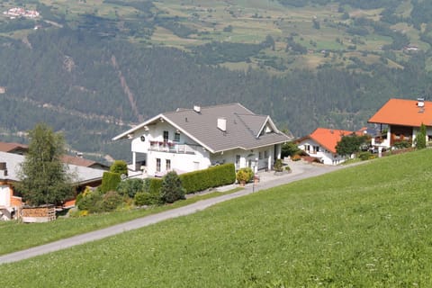 Property building, Area and facilities