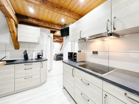 Kitchen or kitchenette, kitchen