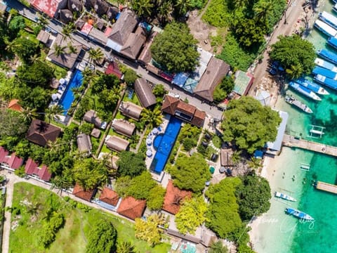 Bird's eye view, Garden
