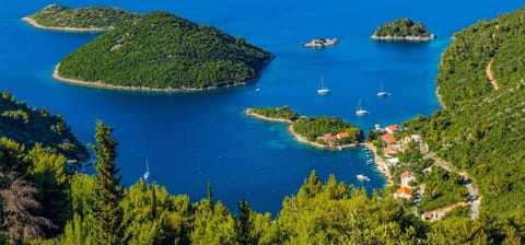 VILA ROZA Apartment in Dubrovnik-Neretva County