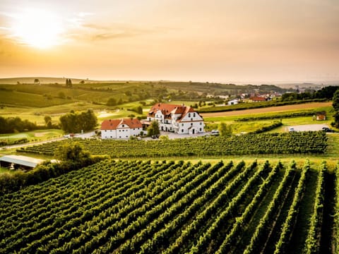 Neighbourhood, Natural landscape, Sunrise