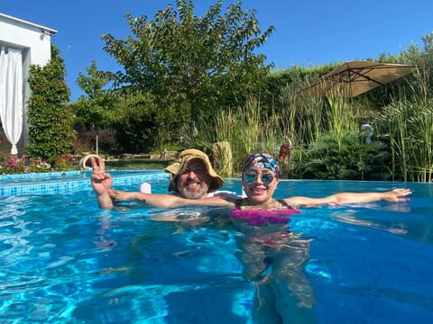 Day, People, Swimming pool, group of guests