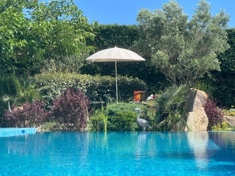 Garden, Garden view, Pool view, Swimming pool