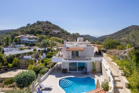 Day, Bird's eye view, Swimming pool