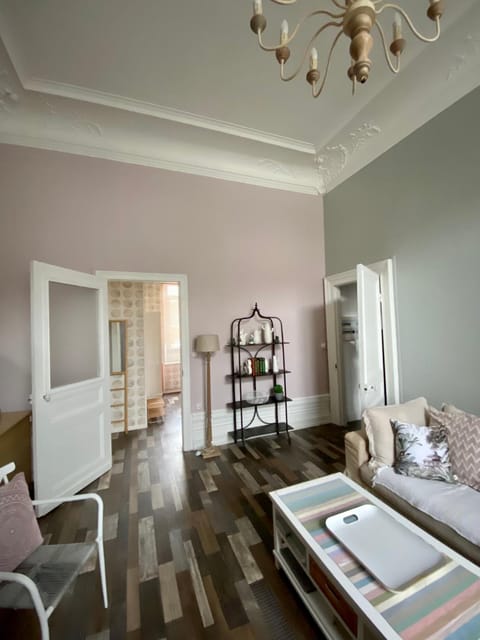 GRAND APPARTEMENT DE STYLE HAUSSMANNIEN Apartment in Hauts-de-France