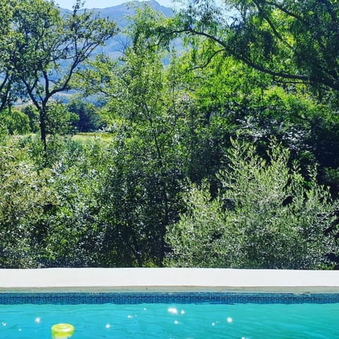 Little Willow Brooke Apartment in Franschhoek