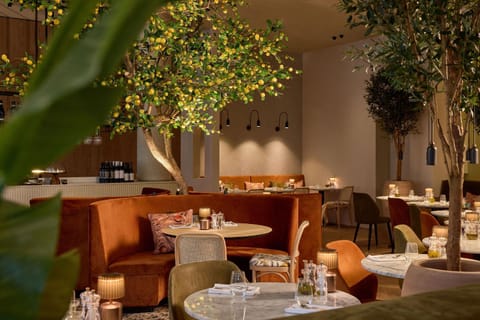 Restaurant/places to eat, Food and drinks, Food, Drinks