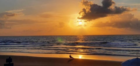 Natural landscape, Sunrise, Sunset