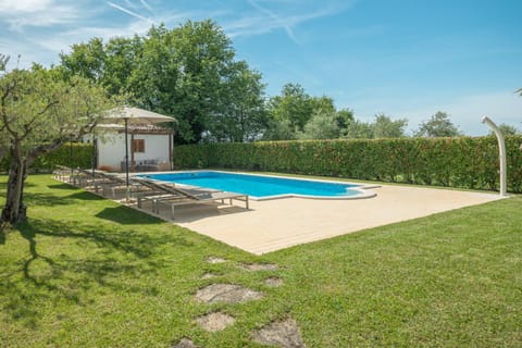 Garden, Swimming pool, sunbed