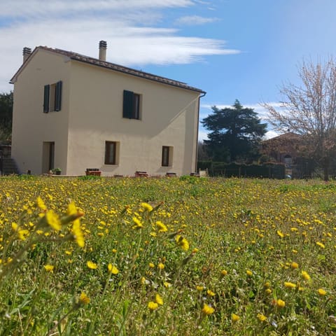 Spring, Day, Garden, Garden, Garden view