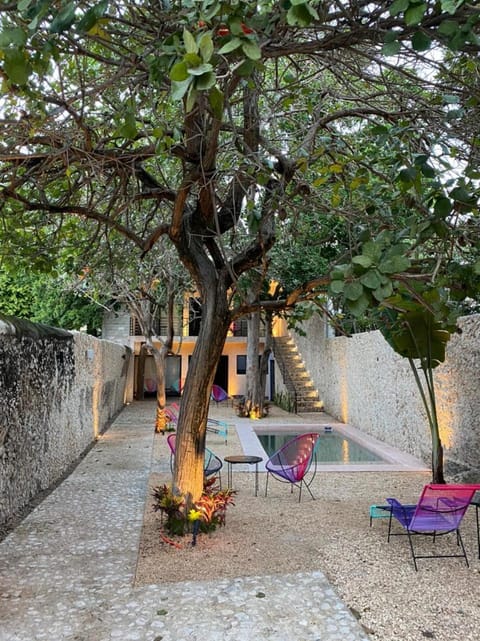 Garden, Garden, Swimming pool