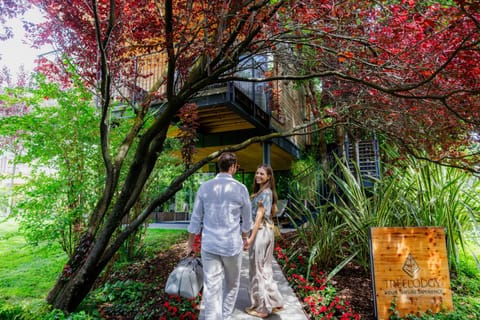 Summer, Garden, Garden view