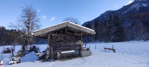Hansenbauernhof inkl. Chiemgaukarte Farm Stay in Ruhpolding
