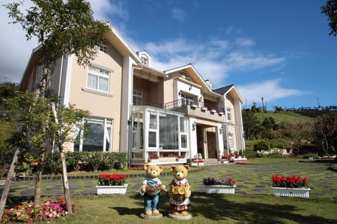 Property building, Day, Garden