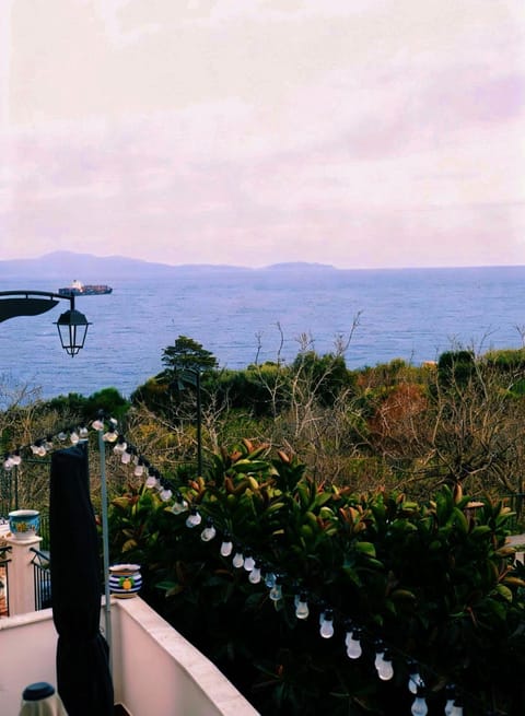 Lemonsea amalfitan house Apartment in Vietri sul Mare