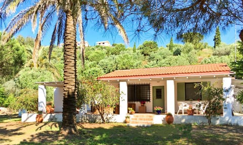 Property building, Patio, Facade/entrance, Garden
