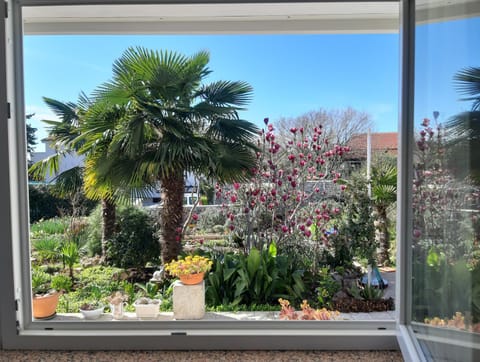 Garden view, Sea view