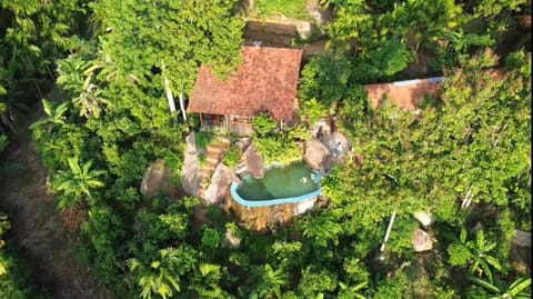 Natural landscape, Garden, Pool view, Swimming pool