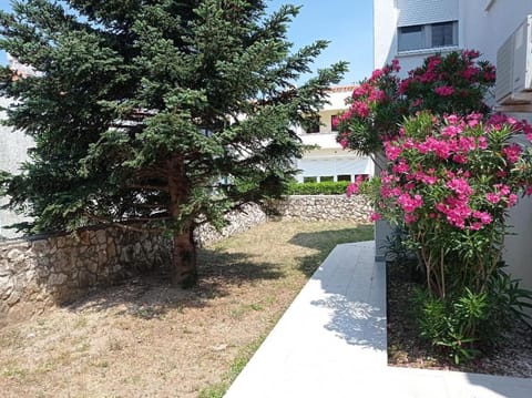 Cukar Apartment Gajac Apartment in Novalja