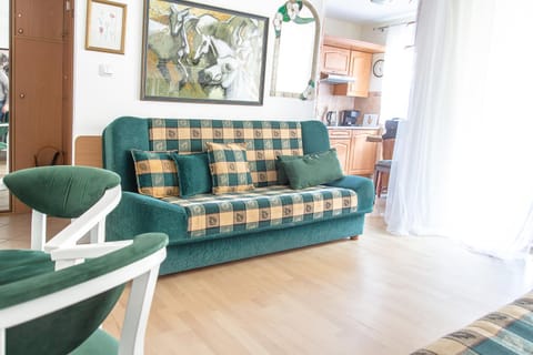 Kitchen or kitchenette, Living room, Seating area, Dining area