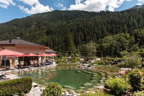 Garden, Swimming pool, Open Air Bath
