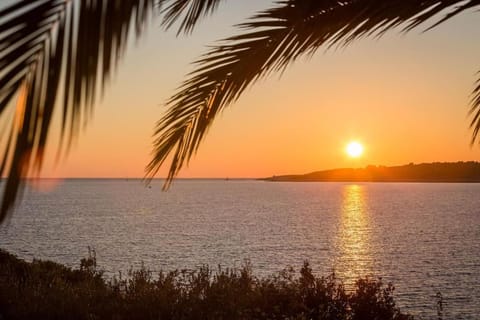 Apartments Bose Kanica on the sea Apartment in Šibenik-Knin County, Croatia
