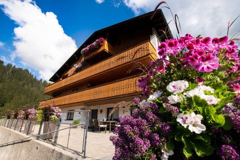 Property building, Garden view