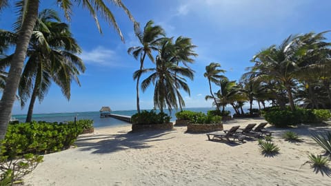Natural landscape, Beach, Sea view, sunbed