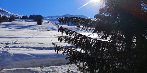 Natural landscape, Winter, View (from property/room), View (from property/room), Hiking