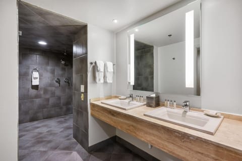 Hotel Zoso Hotel in Palm Springs