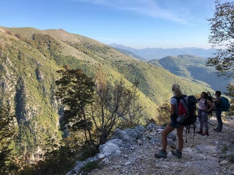 Stonehouse apartments Apartment in Abruzzo