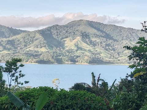 Natural landscape
