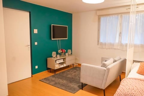 Le Confortable-Cosy studio à 3 minutes du métro Apartment in Aubervilliers