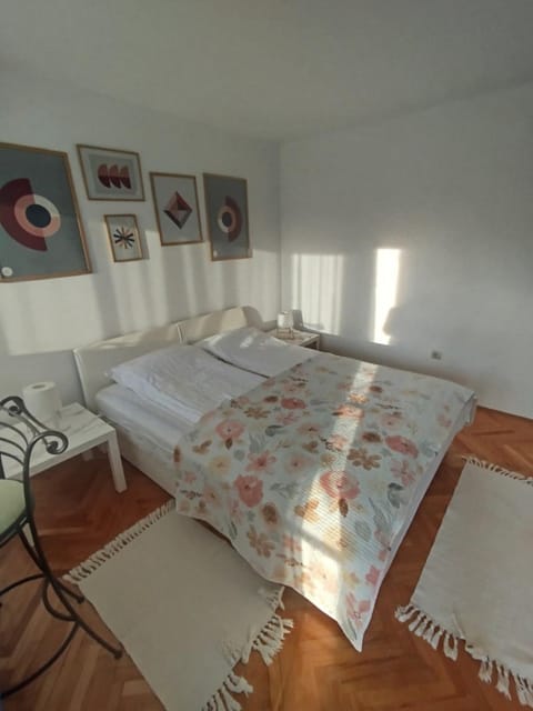 Centar apartman - gradski trg Apartment in Serbia