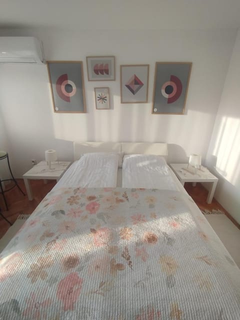 Centar apartman - gradski trg Apartment in Serbia