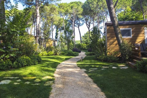 Property building, Spring, Day, Natural landscape, Garden, Garden view