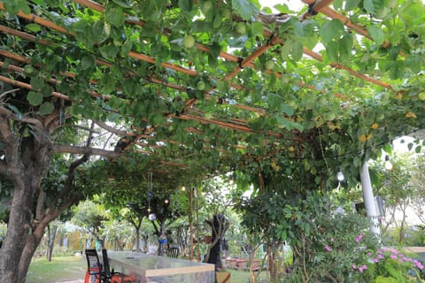 Property building, Garden