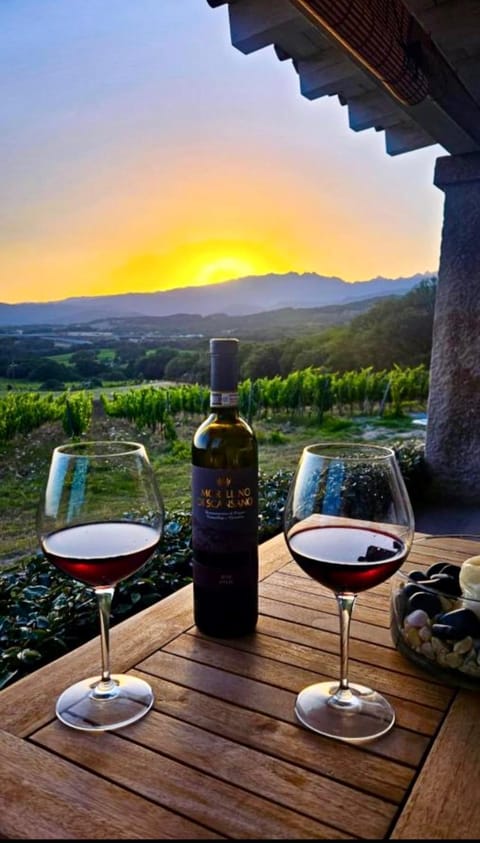 Elegant Country House - Tenuta Piredu Apartment in Sardinia