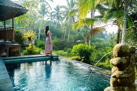 Natural landscape, Garden view, Swimming pool
