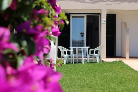 Patio, Garden